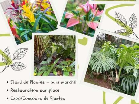 Fête de la Plante - Yaté