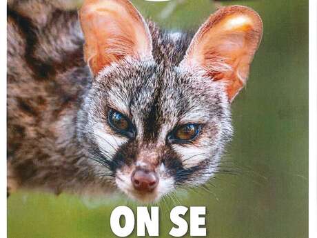 Rendez-vous Nature : Des oliviers et des hommes.