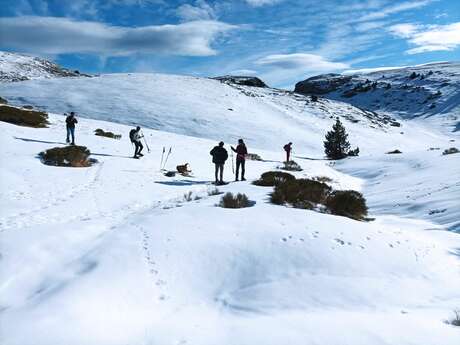 Rando raquettes sur la falaise de Ceüse - Autres Versants