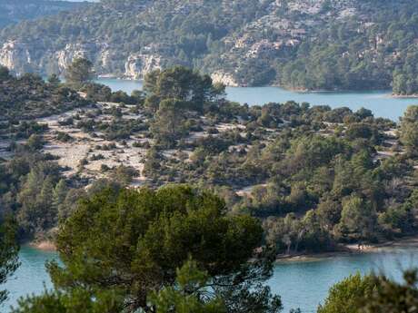 A la découverte des roselières et herbiers aquatiques
