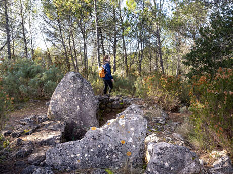 Dolmen des Adrets