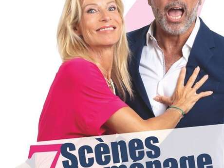 Sept scènes de ménage