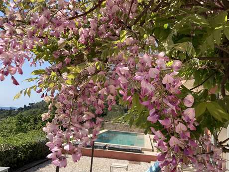 Manoir Les Roches Blanches