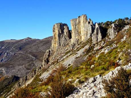 CASTELLANE - Les Cadières de Brandis