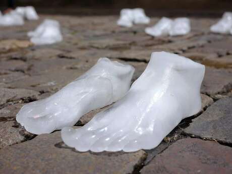 Lands, habiter le monde