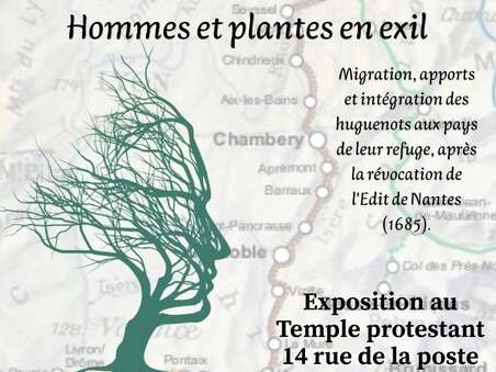 Exposition : Prendre racine