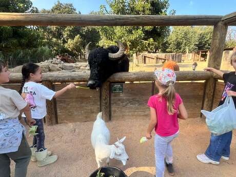 Kid's camp in Ranch de la Mène