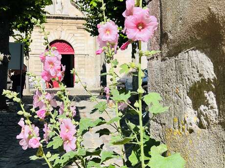Visite guidée de Saint-Martin-de-Ré : accessible T&H