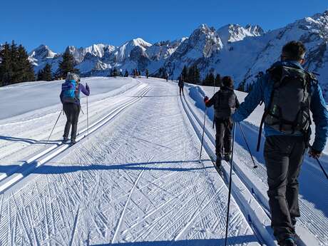 Cours de ski de fond collectif pour adulte intermédiaire