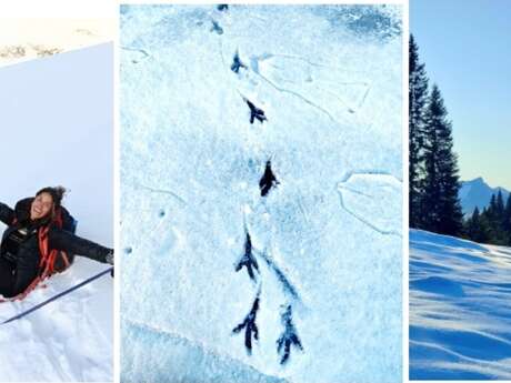 Au cœur des chemins blancs