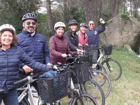 Provence Post Travel - What to do in Provence?