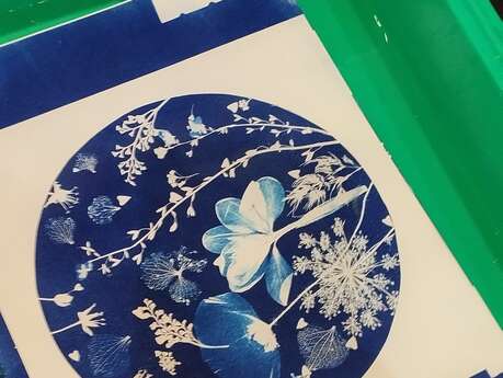 Atelier - cyanotype