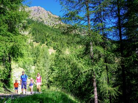 Boucle verte - Itinéraire de randonnée