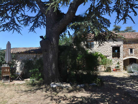 Le Mas de la Chérine - Maison d'Hôtes