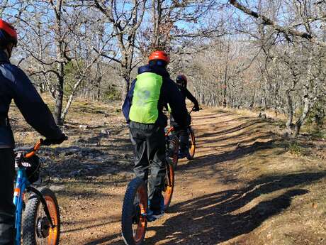 Trottinette tout terrain électrique au Parc Ecureuil