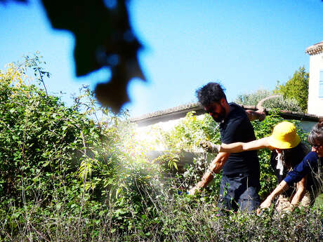 L'écoÏncidence vous propose un atelier participatif