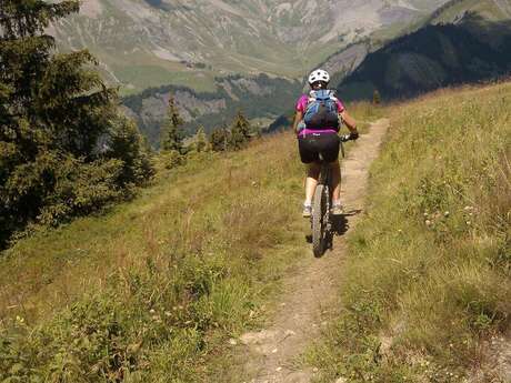 VTT Electrique avec un Moniteur