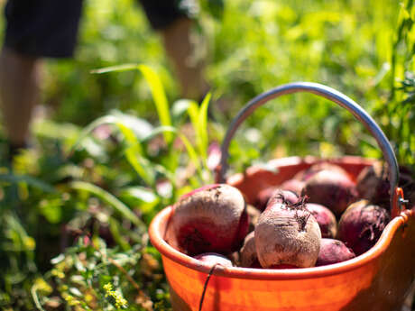 GAEC du Clos de Daris