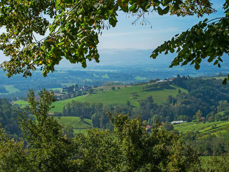 Cycling loop: Mont Tournier circuit