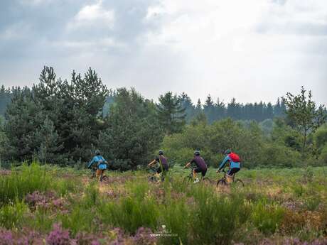 N°53 – Le Grand Tour - Espace VTT-FFC Massif des Bois Noirs