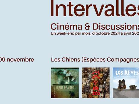 LUMA Arles / Projection du film "Méandres ou la rivière inventée"