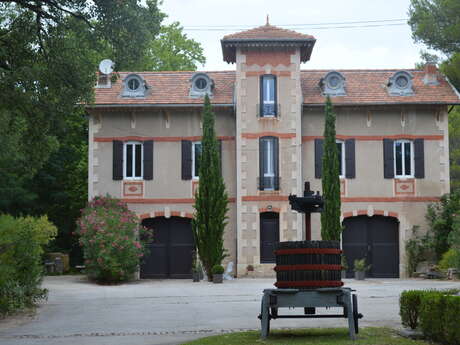 Vacances à Montmirail - Gîte Syrah