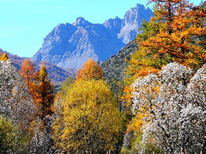 Paysages de montagne - Exposition