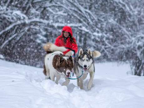 Stage mini-musher - 7h