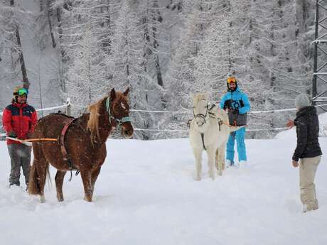 Ranch du Grand Aigle - Ski Joëring