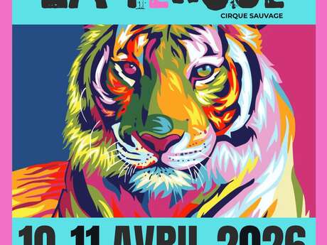 Les 5 ans et demi de La Féroce