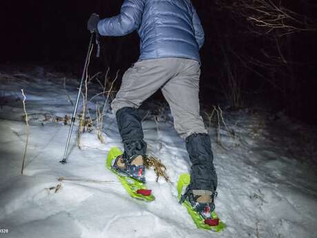 Randonnée accompagnée en raquettes  "Les étoiles de Chabanon"