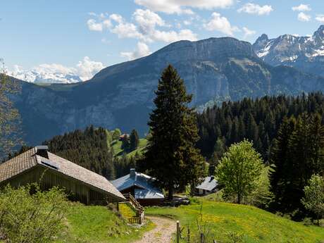 Itinéraire pédestre - Sur cou depuis Bellajoux