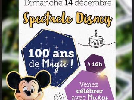 Spectacle Disney
