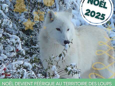 Le parc des loups du Gévaudan