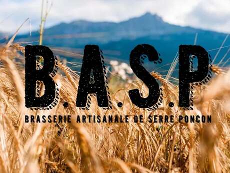 Visit to the Serre-Ponçon craft brewery