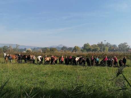 Écuries du Brégoux