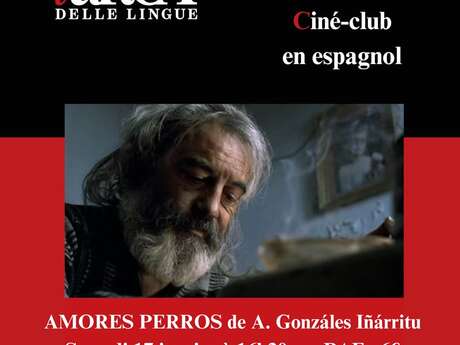 Ciné-club en espagnol  "Amores perros" de Alejandro G. Iñarritu