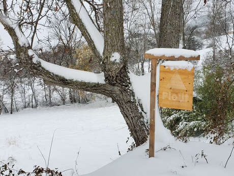 Piolit Nanobrasserie