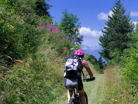 Boucle cyclotouristique "Découverte des alpages des Carroz" (Boucle VTT)