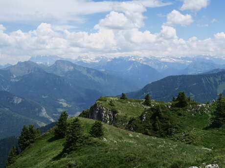 Randonnée pédestre : Pointe d'Ireuse
