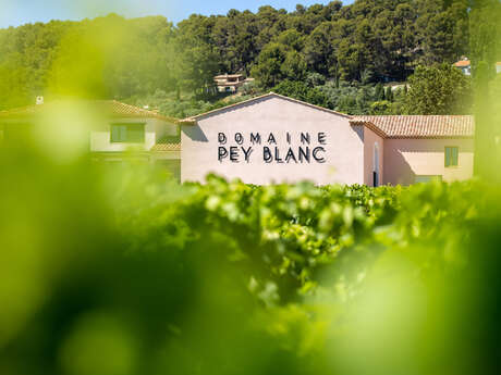 Domaine Pey Blanc