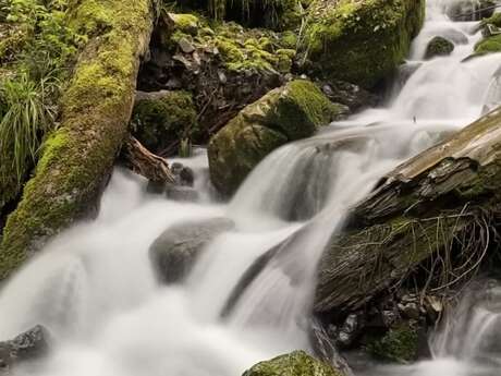 Balade à la cascade du Creux de l'Enfer