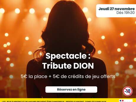 Tribute-Show Céline Dion