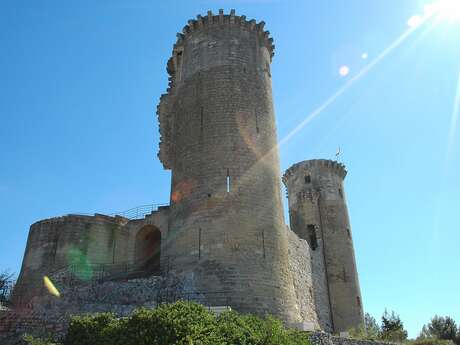 Le Château Féodal des Comtes de Provence