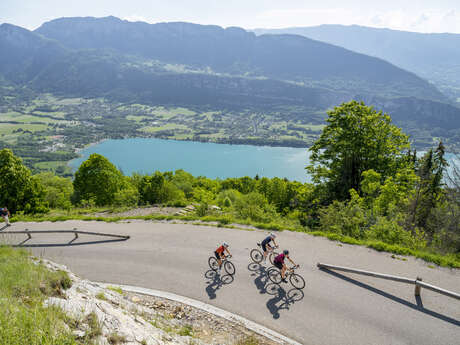 La panoramique du lac - Fahrradrouten