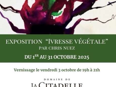 Exposition " Ivresse végétale"