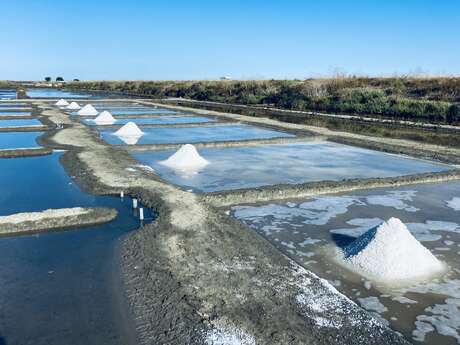 Le marais salant du Sel d'Isabelle