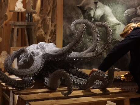 Galerie Wildlife-Art