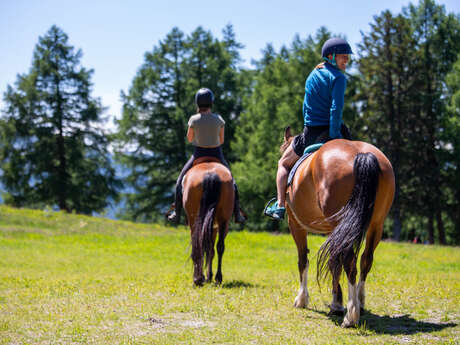 Balade à cheval (1h30)