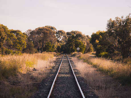 Souvenirs du train à vélo